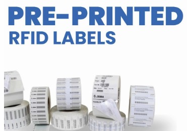 WhatsApp Image 2024-11-12 at 12.47.21